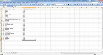 Excel 2003