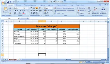 Microsoft Excel 2007